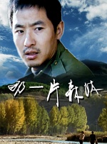 老司机免费视频